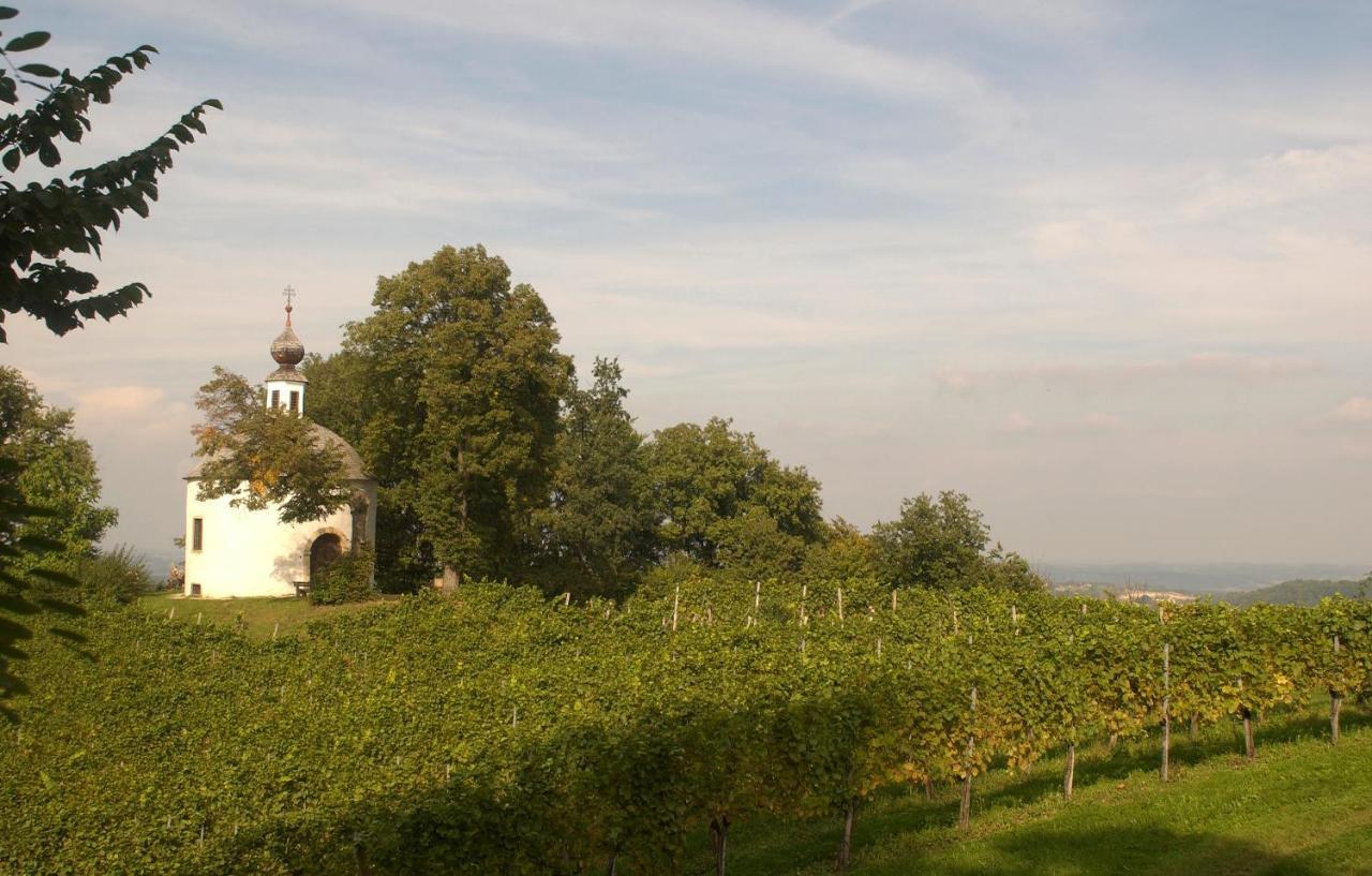 Schloss Kapfenstein Kültér fotó