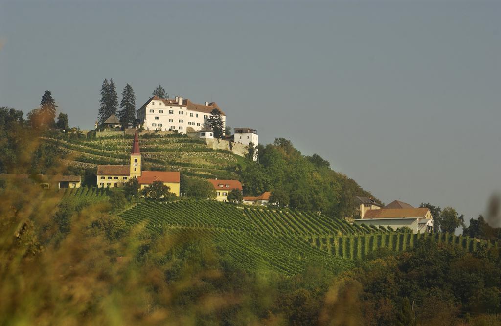 Schloss Kapfenstein Kültér fotó
